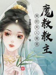 我的老婆是魔教教主去冰